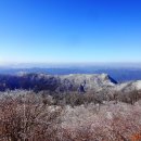 도리재농장 이미지