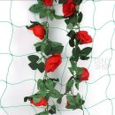 덩쿨농장 이미지