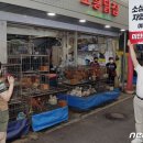 양동닭전길시장1 이미지