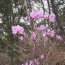 인보목장 이미지