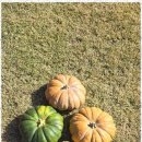 도담아이어린이집 이미지