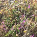 충무공농악 이미지