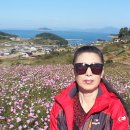 꿈의궁전 이미지