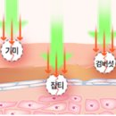 건대예쁨주의쁨의원 이미지