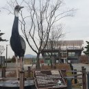 운양생태공원 이미지