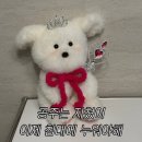 제주의휴일 이미지