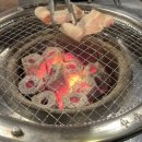 꼼짱 이미지