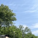 단양 무지개 오토캠핑장 이미지