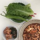 송레코드 이미지