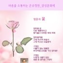 은유의꽃 이미지