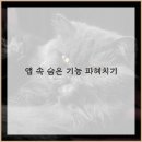 믿음카서비스 - 강진군 향교로 51 | 광주 렌터카 이용 후기 친절 서비스와 깔끔한 차량 경험기