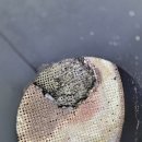 수원-0143 이미지