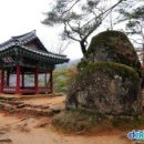 도원운학로 이미지