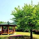 계곡여행펜션 이미지