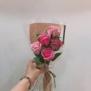 에일린플레르 이미지