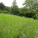 숲속의 농장 이미지