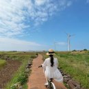 저지보건진료소 | [제주] 5월의 '제주 가파도' 청보리밭 데이트 > ‘나무식탁’ 점심식사 > ‘벨진밧’ 카페