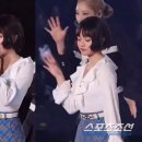 푸른산호초 이미지
