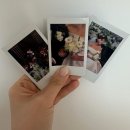 아가스토리 | W16. 본식 아이폰 스냅 후기, 웜스토리(warmstory) 스냅