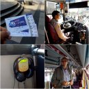 콘서트 평롱 | 서울시티투어버스2탄(고궁.도심코스)서울여행지 데이트코스 추천