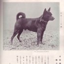 소울메이독 | '일본의 혼' 개 2