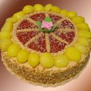 빠띠쉐의 꿈 Daum카페