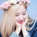 도담찜닭 이미지