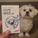 강아지 눈영양제 백내장 관리, 6개월 먹여본 솔직후기