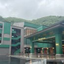 소노캄 타워D 비발디파크 네이버블로그
