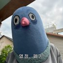 평거로13번길 이미지