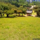 이사영 및 이백찬 묘 이미지