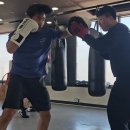 판교스타복싱 이미지