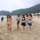 신전해수욕장 더 한국타임즈
