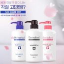 다온미장