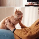 [겨울]생각톡과학실험B 이미지