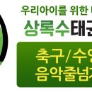 상록수태권도 이미지