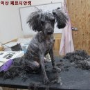 은혜미용샵