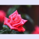 곡성-043 티스토리
