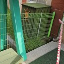 흥도초등학교(병설) 이미지