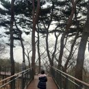 주차타워 | 남산 하늘숲길 입구 소요시간 주차 동선 후기 남산타워까지