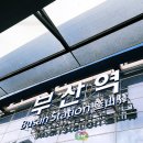 짐캐리부산항국제여객