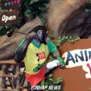 콩쥐# 아카데미 이미지