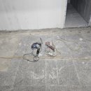 구로시설관리공단 이미지