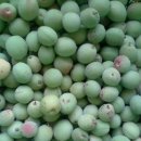 섭이네 농장 이미지