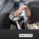 7세서아량- 자두소르베만들기 이미지