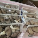 경현농장 이미지