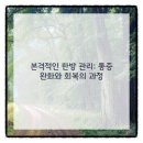 테마한의원 네이버블로그