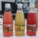 정직한친구들