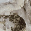 하림생닭 이미지