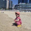 해운대해변로 | 부산 해운대 블루라인파크 해변열차 두돌 아기랑 탑승 후기, 미포-청사포 왕복 투어